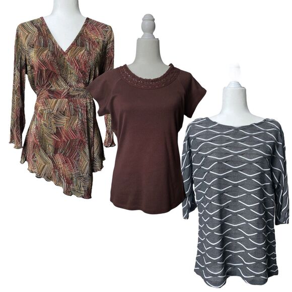 Lot of 3 Womens Dressbarn Fall Winter Tops Blouses T-Shirt 3/4 Sleeve Size Large - Picture 1 of 10
